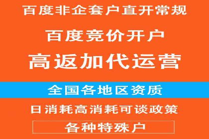谷歌竞价优化：实战案例分析及策略